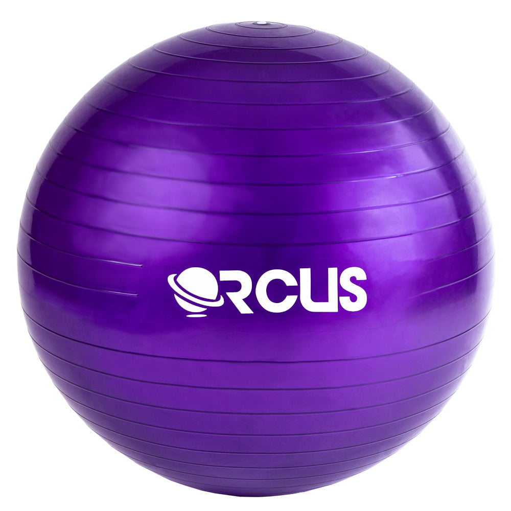 Pelota Pilates 55cm Con Bombín