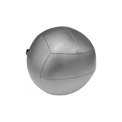 Wall Ball 8kg